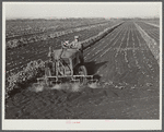 Motor-driven sprayer machine used on large farms to feed beans through leaves and kill white fly. Around Lake Okeechobee, Florida