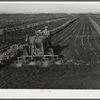 Motor-driven sprayer machine used on large farms to feed beans through leaves and kill white fly. Around Lake Okeechobee, Florida