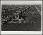 Motor-driven sprayer machine used on large farms to feed beans through leaves and kill white fly. Around Lake Okeechobee, Florida