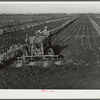Motor-driven sprayer machine used on large farms to feed beans through leaves and kill white fly. Around Lake Okeechobee, Florida
