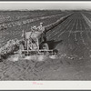Motor-driven sprayer machine used on large farms to feed beans through leaves and kill white fly. Around Lake Okeechobee, Florida
