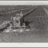Motor-driven sprayer machine used on large farms to feed beans through leaves and kill white fly. Around Lake Okeechobee, Florida
