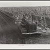 Tractor-driven combination bean planter and fertilizer used on large tracts of farmlands around Lake Okeechobee and Clewiston, Florida