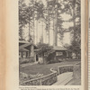 Bungalow magazine