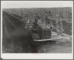 Tractor-driven combination bean planter and fertilizer used on large tracts of farmlands around Lake Okeechobee and Clewiston, Florida