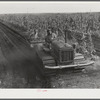 Tractor-driven combination bean planter and fertilizer used on large tracts of farmlands around Lake Okeechobee and Clewiston, Florida
