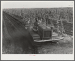 Tractor-driven combination bean planter and fertilizer used on large tracts of farmlands around Lake Okeechobee and Clewiston, Florida