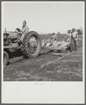 Tractor-driven combination bean planter and fertilizer machine used on many large tracts of land in Florida farming area. Muckland around Lake Okeechobee, Florida