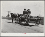 Colored tenant farmer taking home bags of fertilizer. Greene County, Georgia