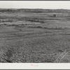 Land of Jackson place from roof. Greene County, Georgia (see 51318)