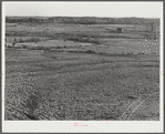 Land of Jackson place from roof. Greene County, Georgia (see 51318)
