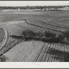 Land on Jackson place from roof. Greene County, Georgia