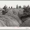 Eroded land. Greene County, Georgia