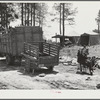 Atlanta mule warehouse sends a camp into rural sections of Georgia for several weeks at a time to sell mules to farmers
