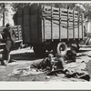 Atlanta mule warehouse sends a camp into rural sections of Georgia for several weeks at a time to sell mules to farmers