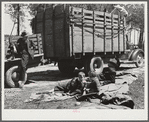 Atlanta mule warehouse sends a camp into rural sections of Georgia for several weeks at a time to sell mules to farmers