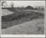 Terracing land. Coffee County, Alabama