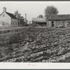 Negro community between Atlanta and Greensboro, Georgia