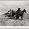 Ben Turner and family in their wagon with mule team. Flint River Farms, Georgia