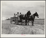 Ben Turner and family in their wagon with mule team. Flint River Farms, Georgia