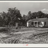 Jesse Stubs' home and pecan grove, a cash crop. Flint River Farms, Georgia