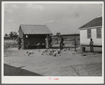 Manuel McLandon's wife and son and some of their poultry, also their smokehouse. Flint River Farms, Georgia