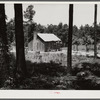 Sharecropper cabin with tin roof. Greene County, Georgia