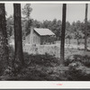 Sharecropper cabin with tin roof. Greene County, Georgia