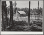Sharecropper cabin with tin roof. Greene County, Georgia