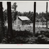 Sharecropper cabin with tin roof. Greene County, Georgia