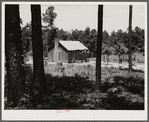 Sharecropper cabin with tin roof. Greene County, Georgia