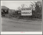 One of many "bank" farms. Coffee County, Alabama