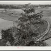 Land on Jackson place from roof. Greene County, Georgia