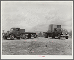 Repaired trucks. FSA (Farm Security Administration) warehouse depot. Atlanta, Georgia