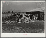 A large and neat woodpile of project family. Coffee County, Alabama