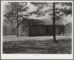 "New" home of family who formerly lived in "camelback" house near Elba. Coffee County, Alabama