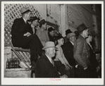 Buyers and spectators at mule auction. Montgomery, Alabama