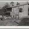 Project family's poultry house. Coffee County, Alabama