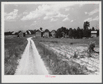 Black owned farm, about 165 acres. Showing tobacco barns, belonging to Wes Cris, cousin of B.C. Corbett, this is a very prosperous settlement near Carr, in Orange County, North Carolina