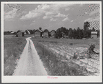 Black owned farm, about 165 acres. Showing tobacco barns, belonging to Wes Cris, cousin of B.C. Corbett, this is a very prosperous settlement near Carr, in Orange County, North Carolina