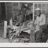 Grading and stripping tobacco, on grading board in strip house, on very prosperous farm belonging to B.C. Corbett, in picture with his son, in a Black settlement near Carr, Orange County, North Carolina