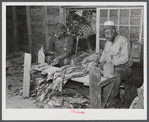 Grading and stripping tobacco, on grading board in strip house, on very prosperous farm belonging to B.C. Corbett, in picture with his son, in a Black settlement near Carr, Orange County, North Carolina