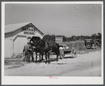Combination filling station, garage, blacksmith shop, grocery store. Frank Petty, owner of the wagon, has just had his mule shod, his corn ground, purchases some kerosene and is returning home. R.F.D. Danville, Virginia, Pittsylvania County