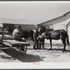 Combination filling station, garage, blacksmith shop, grocery store. Frank Petty, owner of the wagon, has just had his mule shod, his corn ground, purchases some kerosene and is returning home. R.F.D. Danville, Virginia, Pittsylvania County