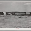 Tobacco barns and strip house on the Ward Place, Chatham, Route 57, going east on right side of road. Pittsylvania County, Virginia