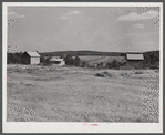 Tobacco barns and strip house on the Ward Place, Chatham, Route 57, going east on right side of road. Pittsylvania County, Virginia