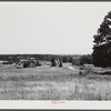 General landscape with tobacco barn. Halifax County, Virginia