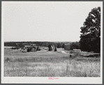 General landscape with tobacco barn. Halifax County, Virginia