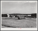 Loading hay on Ward Place, Route 57. Chatham, Pittsylvania County, Virginia