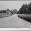 Tobacco barns. Owner living in Mebane in a prosperous Black settlement between Carr and Cedar Grove, Orange County, North Carolina. See general notes on subregion. September 28, 1939. Number three